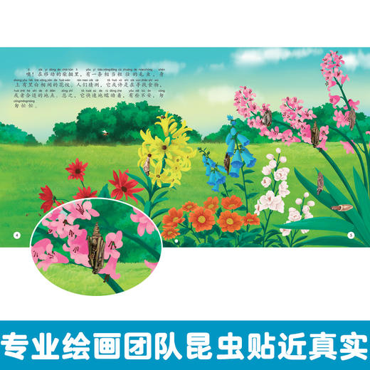 法布尔昆虫记套装(全10册)3-9岁盒装科普百科 商品图1