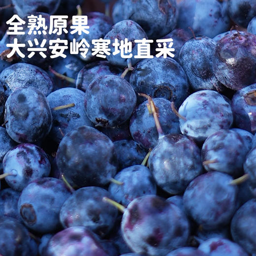 西域美农 蓝莓果干 野生蓝莓果干 配料仅有蓝莓果和蓝莓浓缩汁  富含花青素  90g  顺丰发货 商品图11