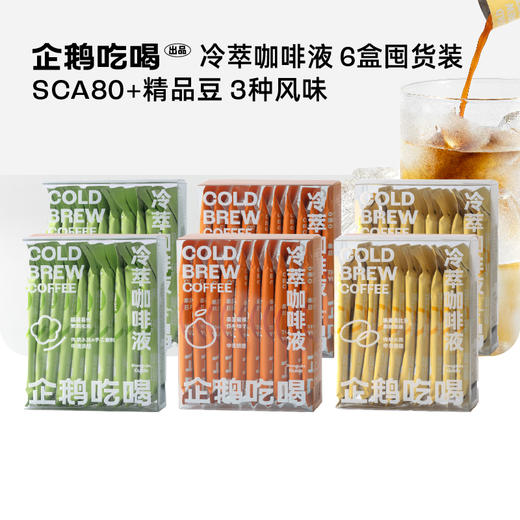 企鹅吃喝|冷萃咖啡液6盒装 蜜橘柚子/六窨茉莉/耶加雪菲（10包*33ml）*需冷藏保存 商品图0