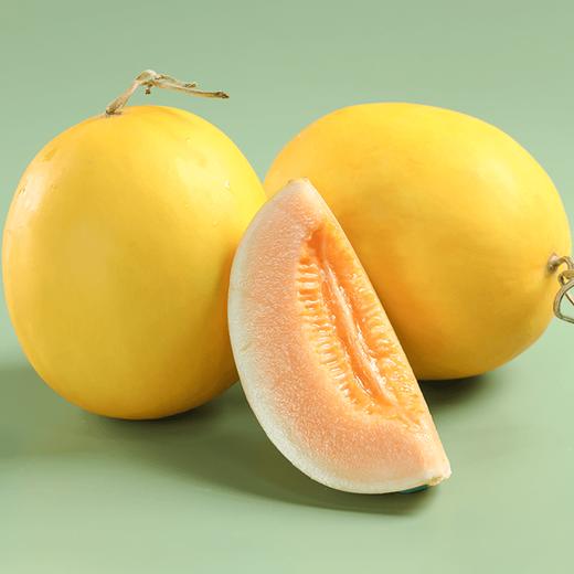 【社群专享】陕西民勤蜜瓜 芳香浓郁 肉厚多汁 商品图0