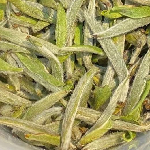 2025头采白毫银针 商品图2