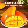 挂树上的彩虹！海南贵妃芒 皮薄肉厚 果香超浓郁 商品缩略图8