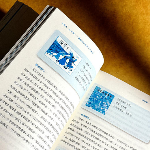 小绘本 大世界 教授妈妈的亲子共读法 姚颖 著 曹文轩 保冬妮 阿甲联袂推荐 商品图10