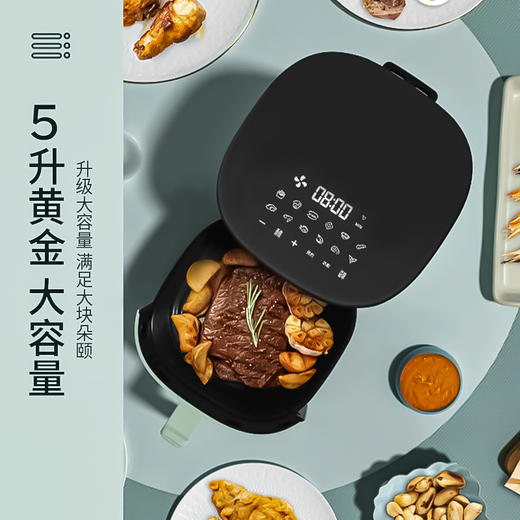 夏普电烤炉（空气炸锅）KF-AF-E50DK-G 商品图0