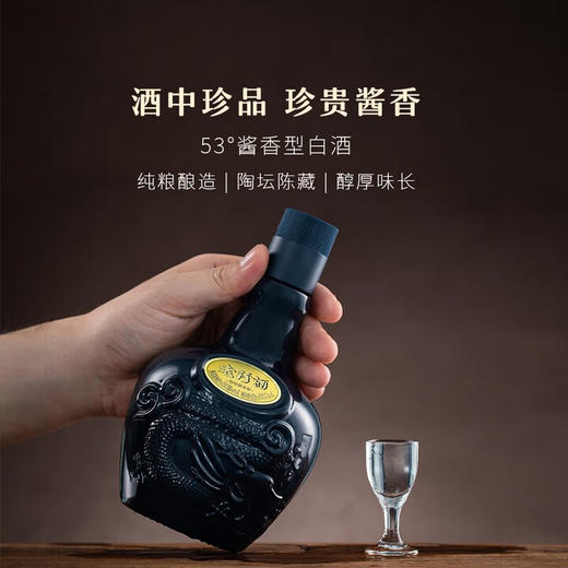 53度珍酒·老珍酒 500ml 单瓶 商品图2