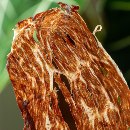 食味的初相雪花牛脆片|一罐≈一斤新鲜和牛肉！奶香酥脆贼上头 商品图0