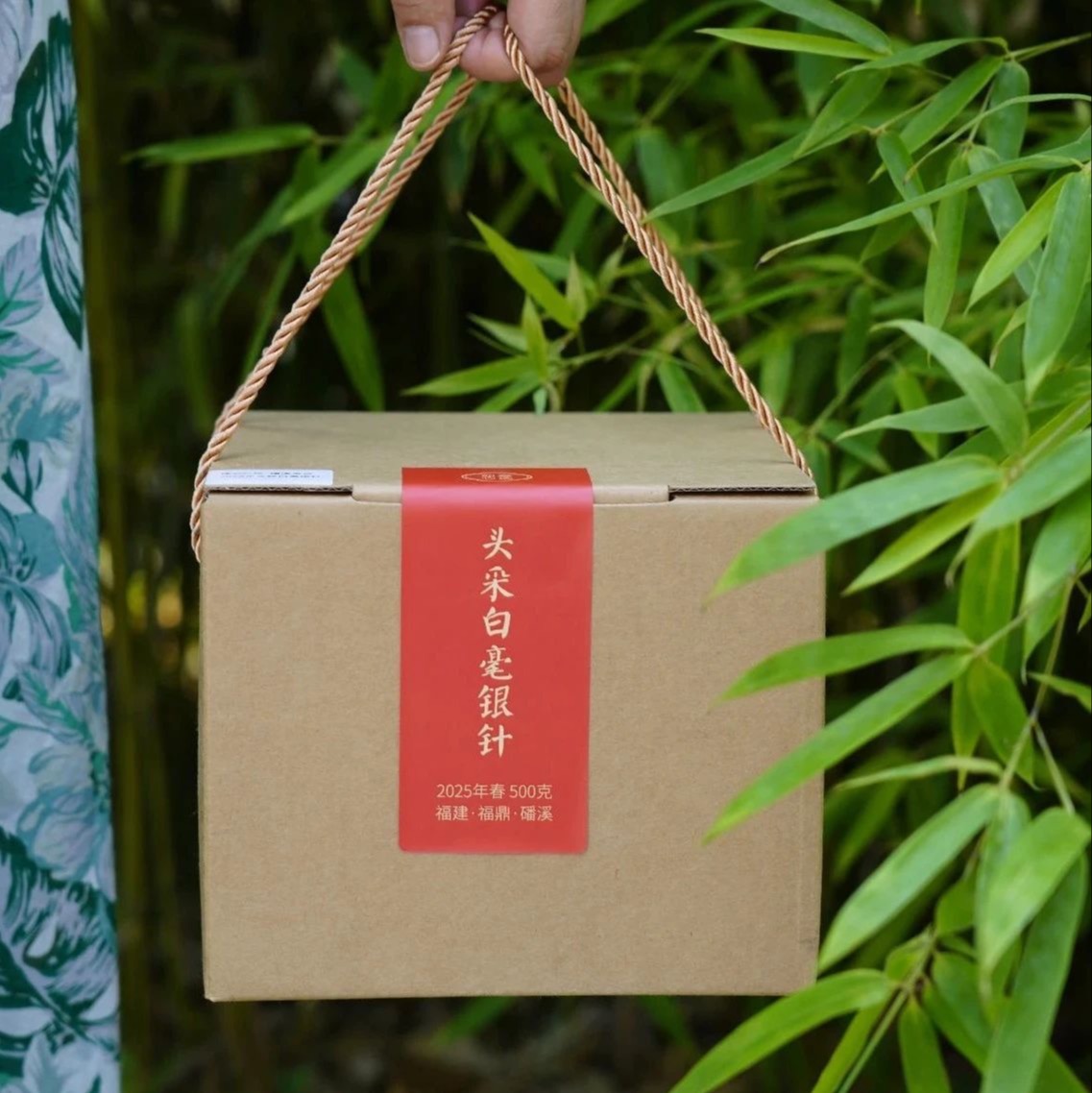 2025头采白毫银针