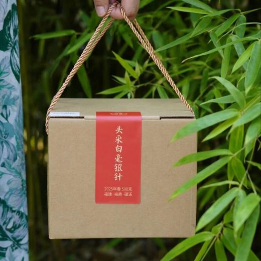 2025头采白毫银针 商品图0