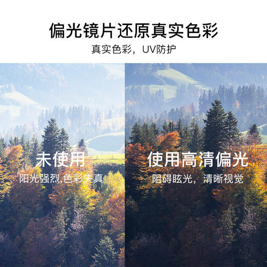 女士时尚新款偏光太阳镜女生自拍墨镜炫彩蝶形眼镜 商品图7