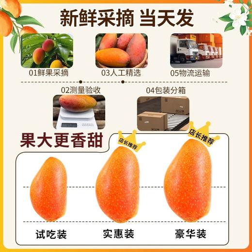 挂树上的彩虹！海南贵妃芒 皮薄肉厚 果香超浓郁 商品图7