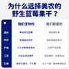 西域美农 蓝莓果干 野生蓝莓果干 配料仅有蓝莓果和蓝莓浓缩汁  富含花青素  90g  顺丰发货 商品缩略图10