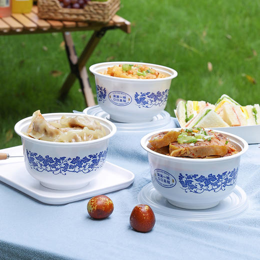 【批发】美丽雅一次性青花碗920ml*20套装 商品图6