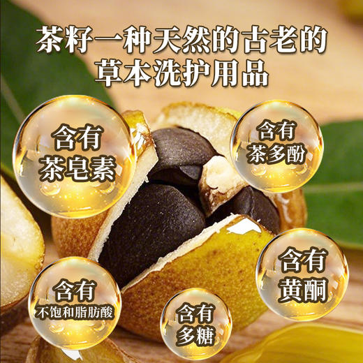 热卖中！！【全国百强医药连锁在售 有机认证！】百想茶麸何首乌草本洗发露 6重植物萃取 山茶籽 何首乌 侧柏叶 无患子 当归 生姜 清洁油脂 天然抗菌 去屑滋养毛囊，改善白发，增强发丝韧性男女适用 商品图3