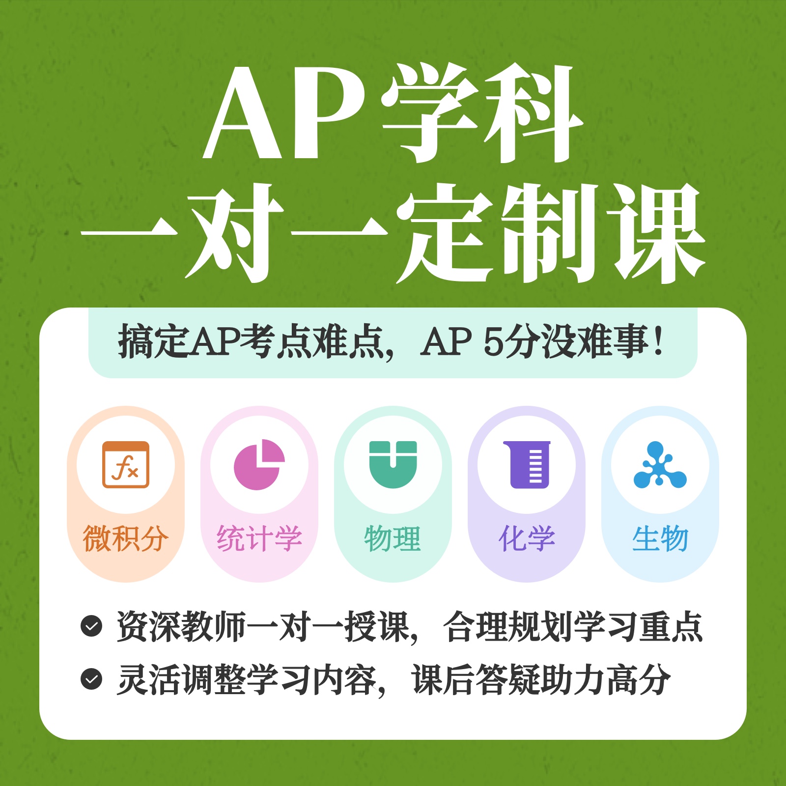 AP学科一对一定制课
