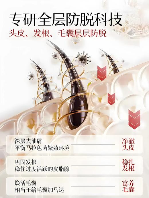 【控油防脱 拯救发际线】LUCENBASE透真防脱固发洗发水 500ml 商品图1