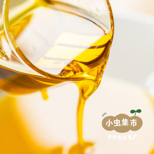 野放老品种菜籽油 2.5L | 合作农友生产，来自贵州贵阳，生产者：杨婧懿 *【公平贸易农人定价】 商品图10