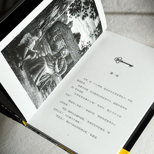 金钥匙 乔治·麦克唐纳传世经典 精美插画展现光影传说 商品图6