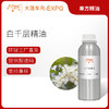 白千层精油 Melaleuca Cajuputii 英国直采 原料批发 大篷车精油 商品缩略图0