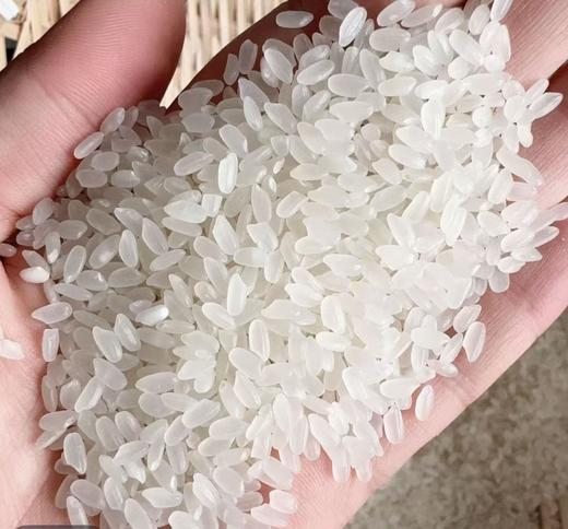 东北特产 合禾良田 大米5kg/袋 吉林延边 商品图1