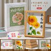「教师节暖心佳选🎁 高颜值针织向日葵相框🌻 感恩师恩，从此刻开始！」 商品缩略图11
