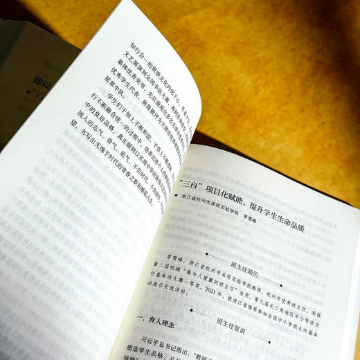 优秀班主任的带班育人方略 王振刚 大夏书系 班主任培训用书 商品图12