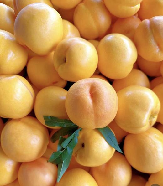 黄油桃 商品图1