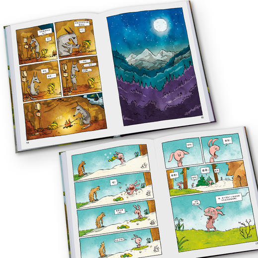 《狼和兔子的奇妙旅行》精装一册  7-15岁  两只互为天敌的动物 一场治愈人心的旅行  孩子不可错过的生命教育之书 商品图4