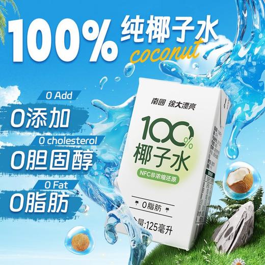 【海南老字号】南国绿色椰子水/红豆薏米椰子水/100%椰子水 商品图4