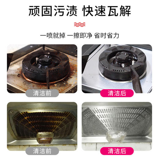 【美国oil eater浓缩油污净】2瓶装 高效分解油脂 安全温和 商品图1