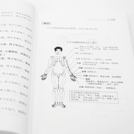 龚廷贤先生的中医必修课 D 商品图2