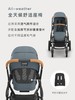 美国UPPAbaby Vista V3+V3睡篮 高景观婴儿车超高景观可坐躺折叠双向多功能推车0-4岁 商品缩略图3