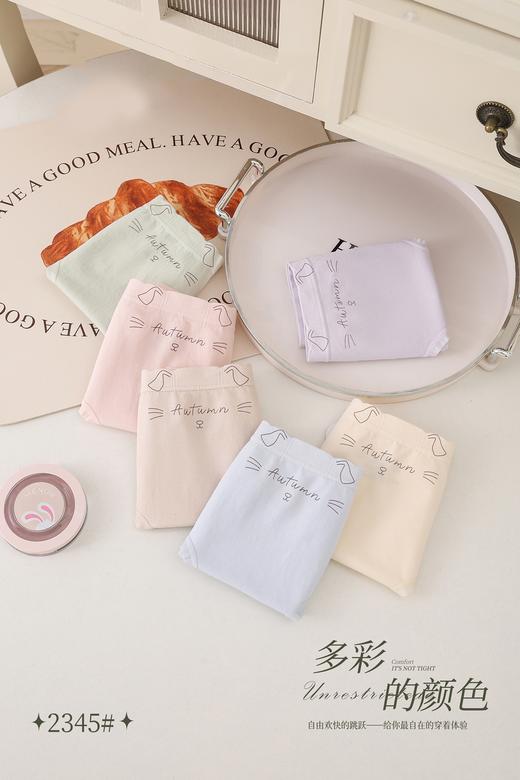 女士小猫印花卡通无缝内裤2345 商品图3