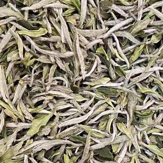 2025特级牡丹王 商品图2