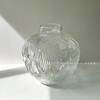 【特惠清仓，仅2件，无货退款】透明肌理玻璃花瓶轻奢高级感摆件客厅玄关插花水培花器家居装饰品晶尊风语花瓶小号21cm（透明） 商品缩略图4