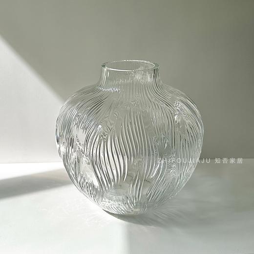 【特惠清仓，仅2件，无货退款】透明肌理玻璃花瓶轻奢高级感摆件客厅玄关插花水培花器家居装饰品晶尊风语花瓶小号21cm（透明） 商品图4
