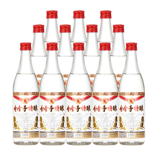 分金亭 42度 特酿  500ML*12瓶 整箱装 浓香型白酒 商品图0