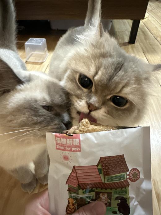 【猫咪鲜粮总汇】8拼主食鲜粮湿粮100克一包装/制熟发货常温保存开袋即食 商品图2