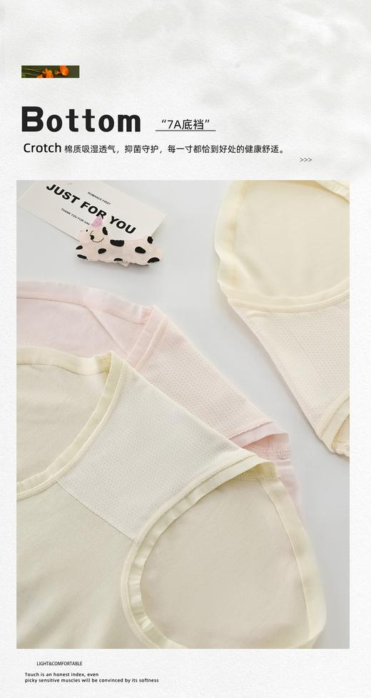 女士小狗印花可爱无缝内裤2395 商品图3