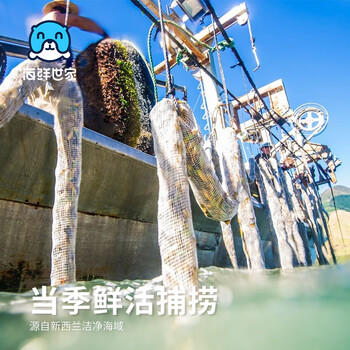 海鲜世家新西兰熟冻原汁全壳青口贝净含量1kg 21-26只/袋原装进口海鲜贝类 商品图4