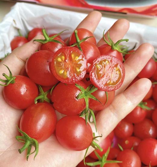 千禧柿子 商品图1