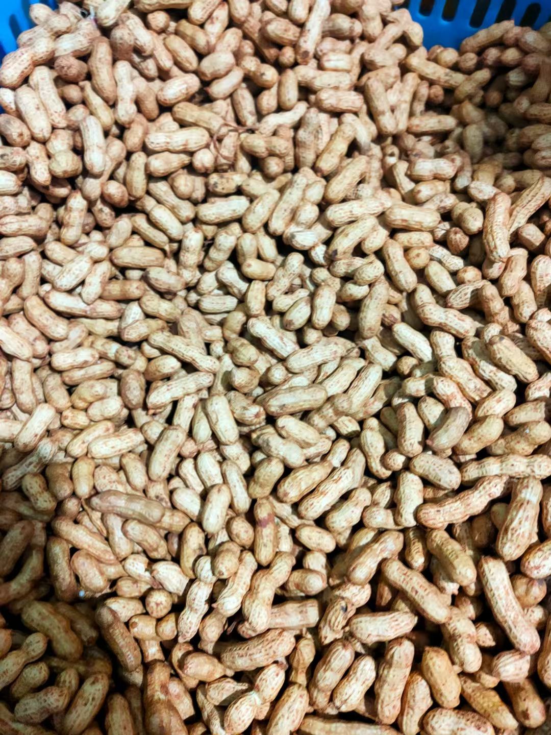 新鲜花生，1斤，