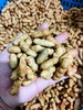 新鲜花生，1斤， 商品缩略图1