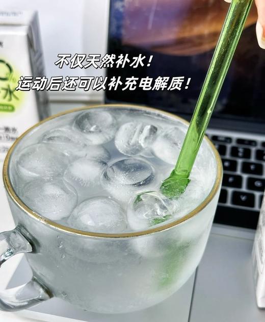 【海南老字号】南国绿色椰子水/红豆薏米椰子水/100%椰子水 商品图1