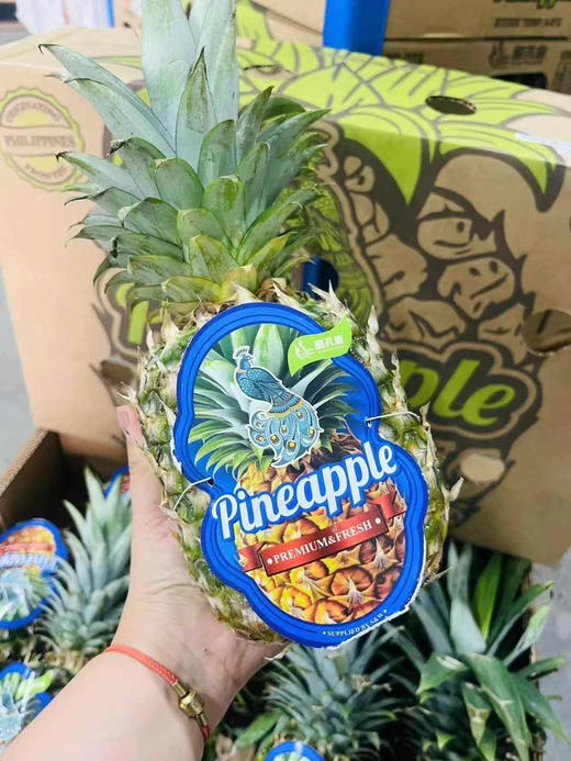 【聚划算】14.9元一颗 蓝孔雀凤梨（三斤左右） 商品图0