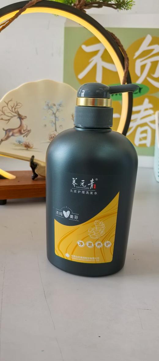 养元青 头皮护理洗发水净澈养护浓纯姜芬香型 500ml（仅限港东、鼓雪站自提） 商品图0