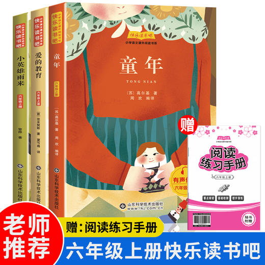 快乐读书吧六年级上册（全三册）童年 爱的教育 小英雄雨来 商品图0