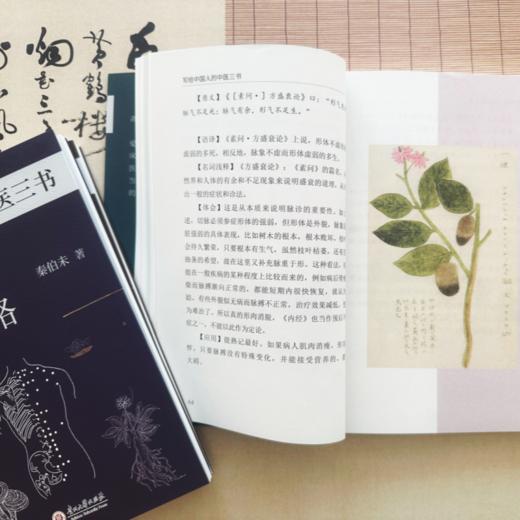 《写给中国人的国医三书》《写给中国人的中医三书》（全6册）中医大师中的大师，经典中的经典，中医养生套餐！ 商品图13