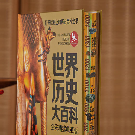 《世界历史大百科》全彩精编典藏版， 适合打开就爱上的历史百科全书！纵横百万年世界史，读懂今日世界！ 商品图3