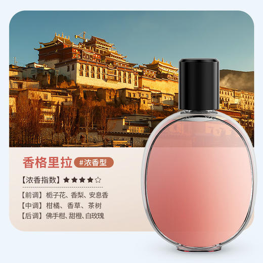 【充电一次，喷香60天~】香薰机自动喷香机 房间持久留香畅扩 香氛家用卧室厕所酒店扩香机-QA 商品图6