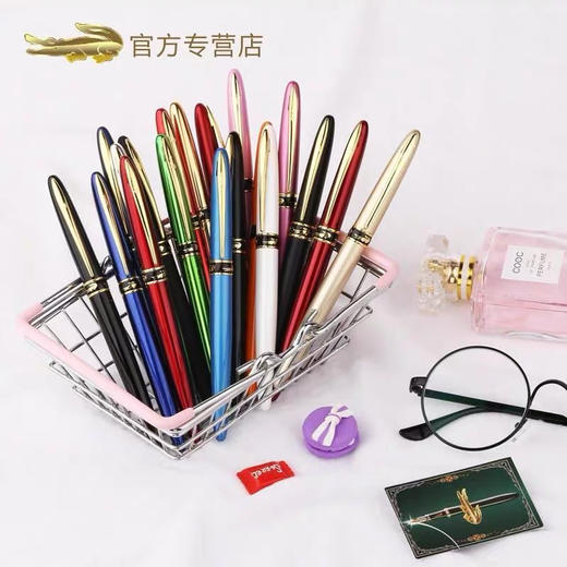 鳄鱼钢笔/暗尖（笔杆颜色随机） 商品图0
